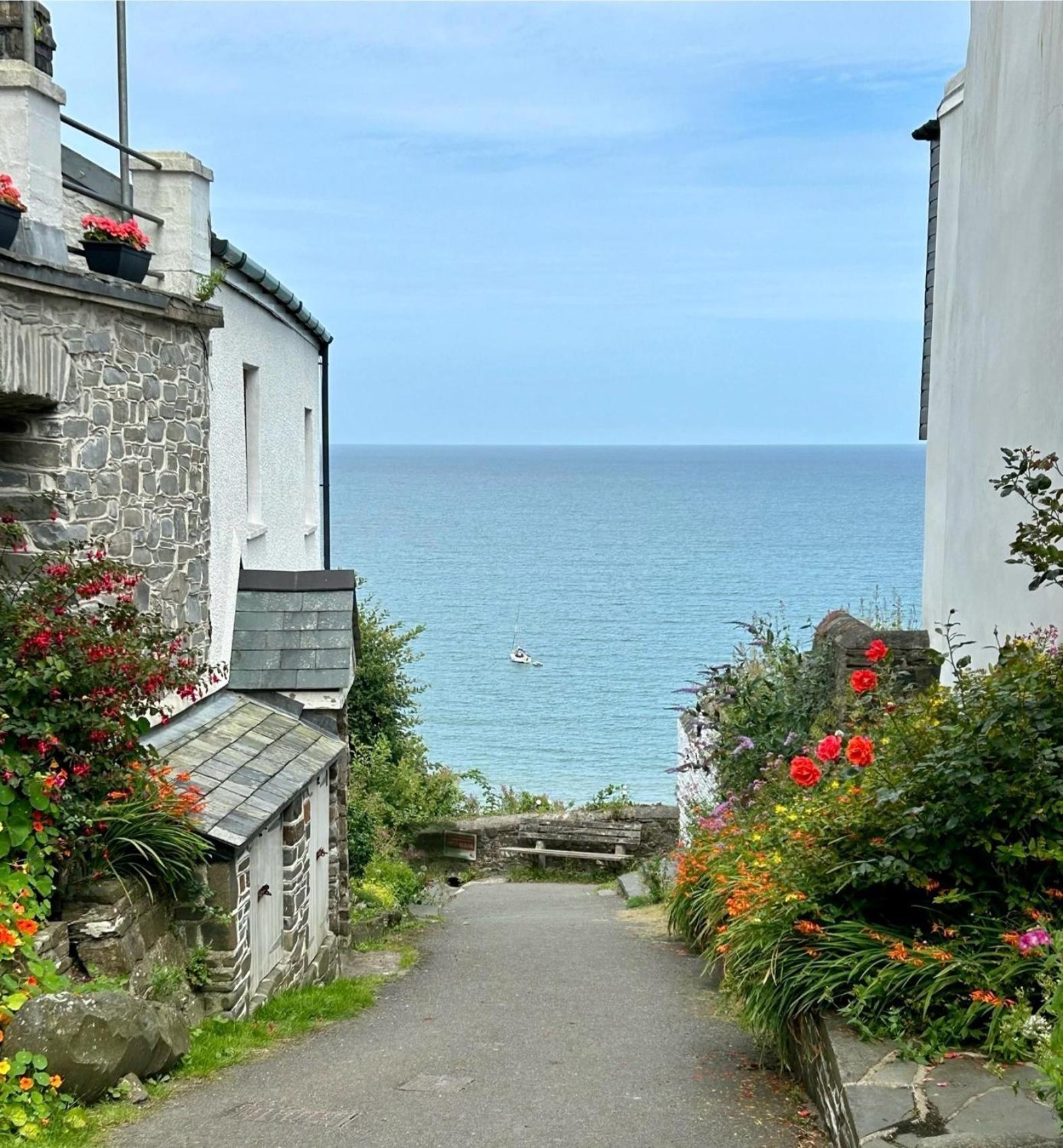 Cosy Boathouse Cottage By The Sea With Log Burner Bucks Mills Eksteriør billede