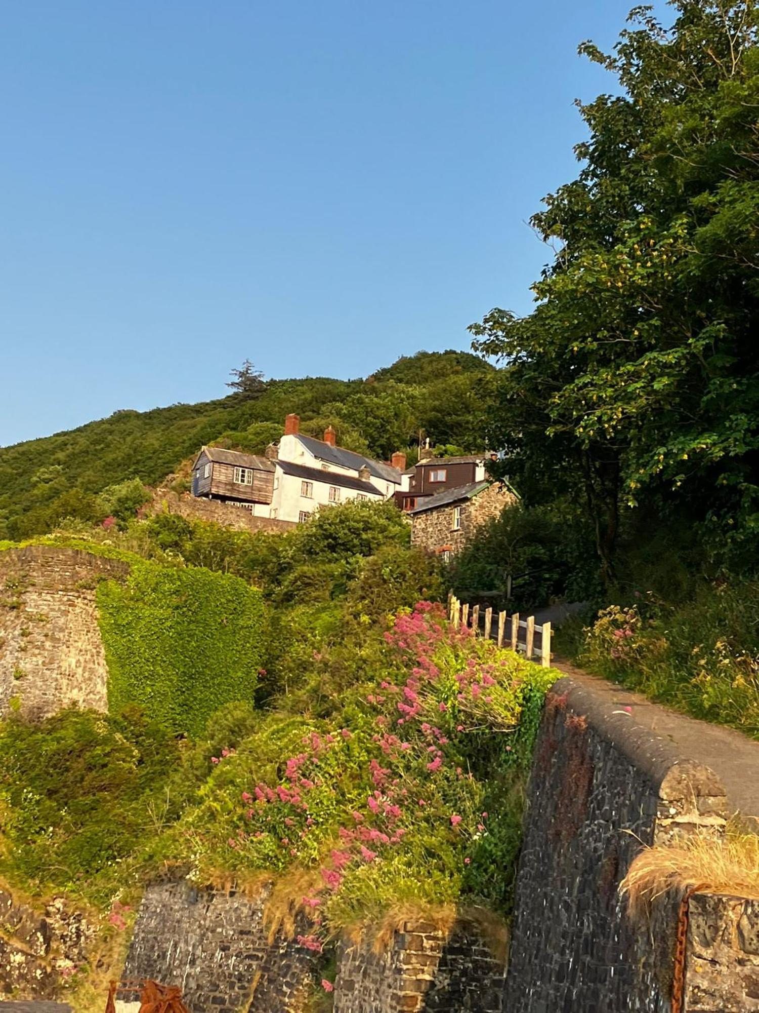 Cosy Boathouse Cottage By The Sea With Log Burner Bucks Mills Eksteriør billede