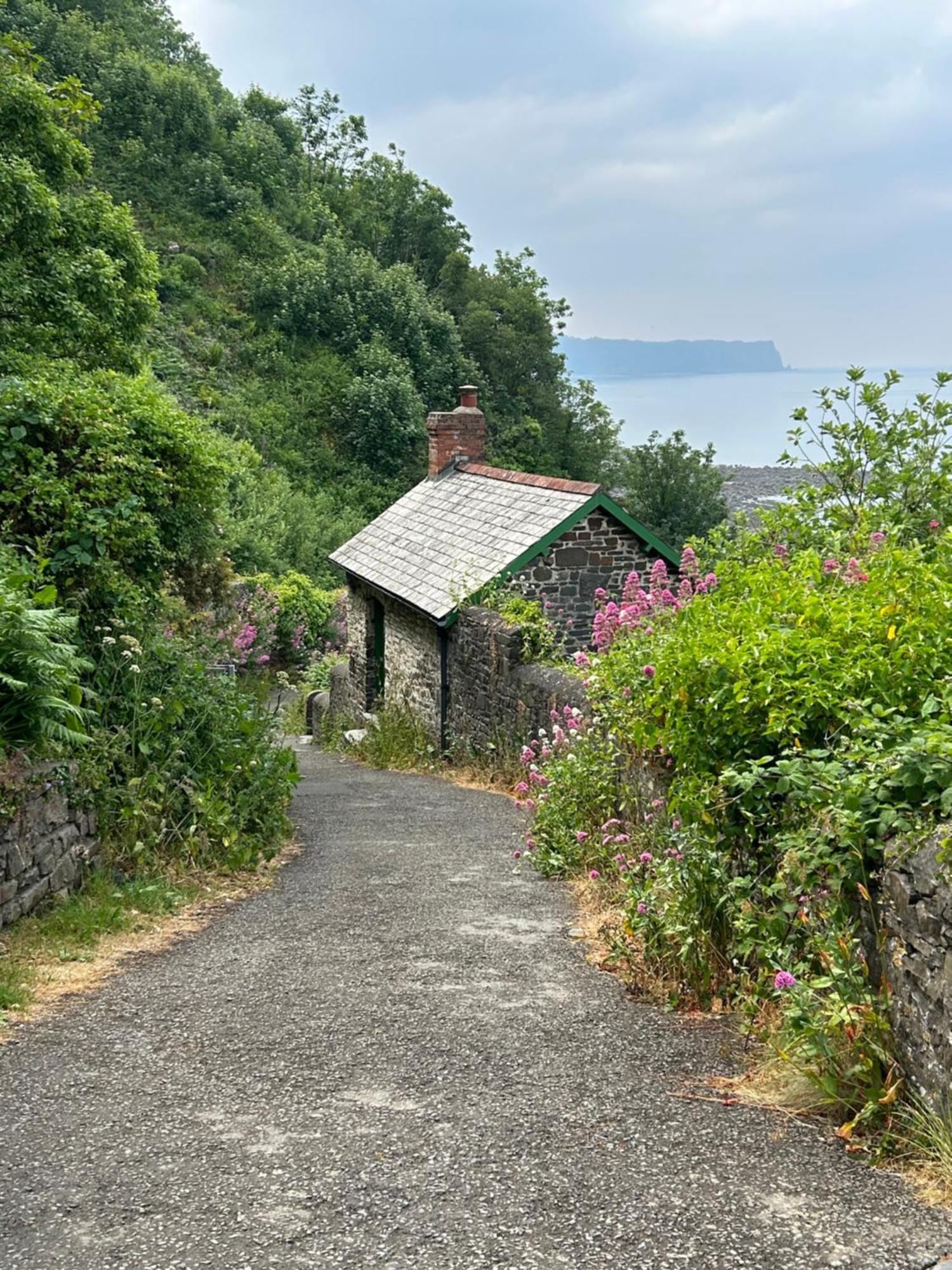 Cosy Boathouse Cottage By The Sea With Log Burner Bucks Mills Eksteriør billede
